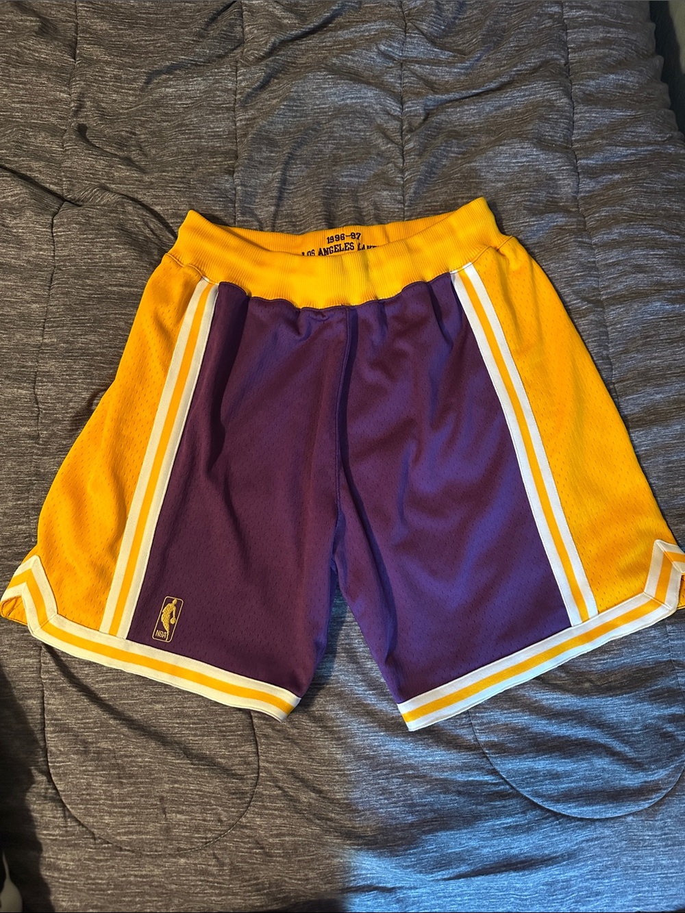 Mitchell & Ness Purple and Gold Lakers Basketball Shorts
